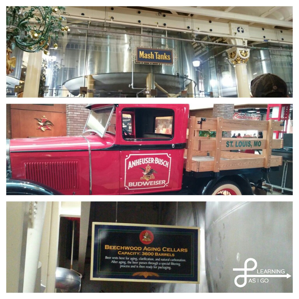Highlights of our tour of Anheuser Busch Brewery