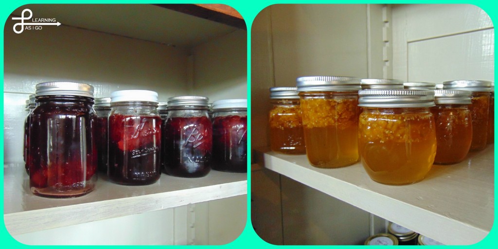Just two of the several varieties of jams & jellies that Shannon's mom home makes!
